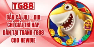 Bắn Cá Jili - Địa Chỉ Giải Trí Hấp Dẫn Tại Trang TG88 Cho Newbie