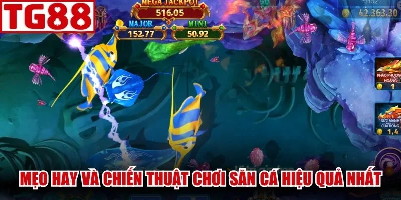 Mẹo hay và chiến thuật chơi săn cá hiệu quả nhất
