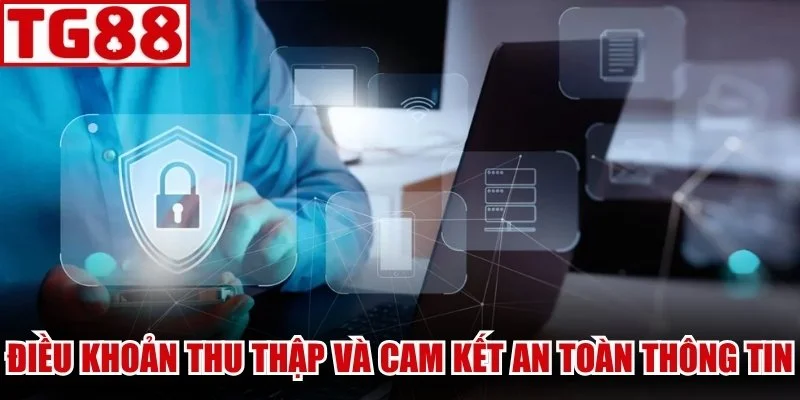 Những điều khoản thu thập dữ liệu và cam kết an toàn thông tin