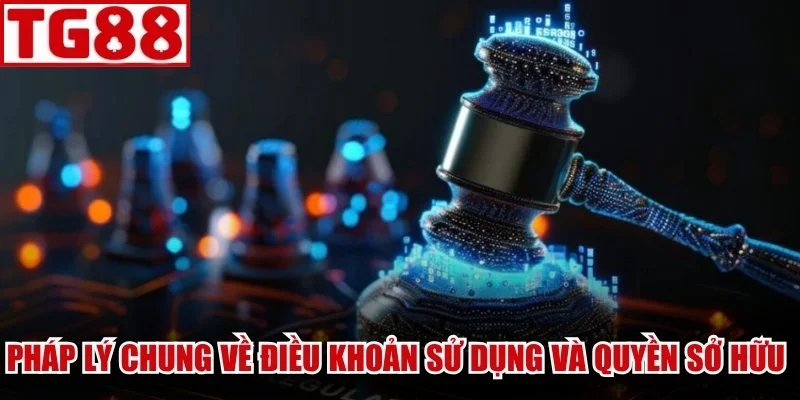 Pháp lý chung về điều khoản sử dụng và quyền sở hữu 