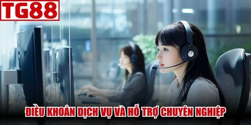Điều khoản dịch vụ khách hàng và hỗ trợ chuyên nghiệp