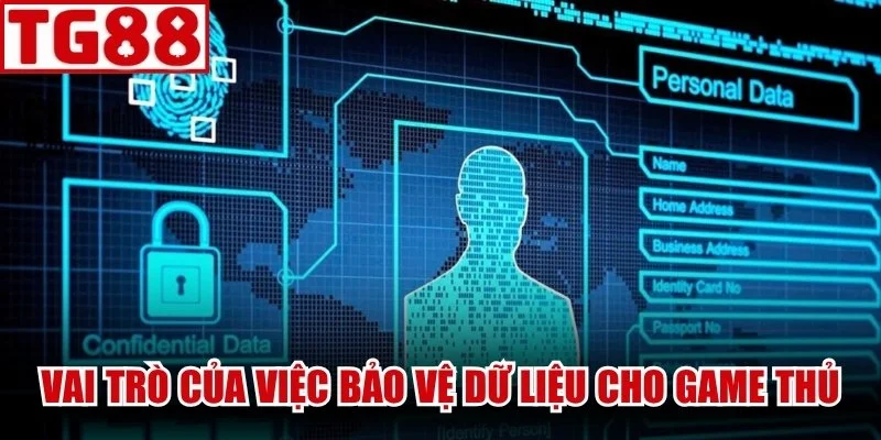 Vai trò quan trọng của việc bảo vệ dữ liệu cho game thủ