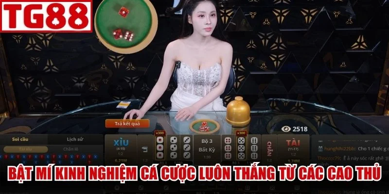 Bật mí kinh nghiệm cá cược luôn thắng từ các cao thủ